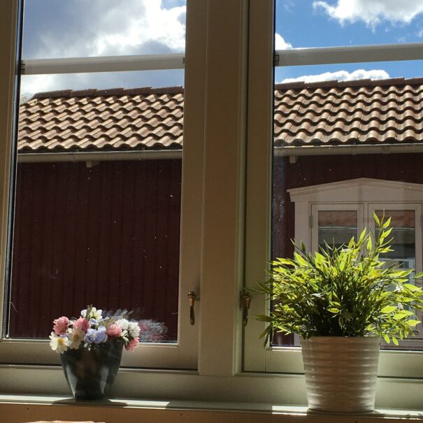 Fönster